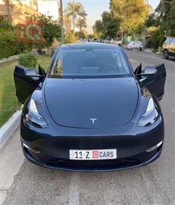 تسلا موديل Y